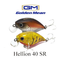 Golden Mean Hellion 40 SR