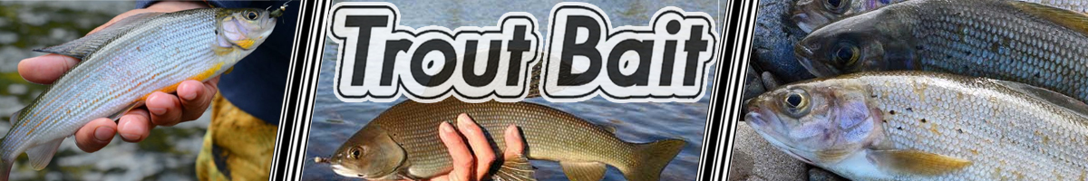 Trout Bait Salamander 15гр.