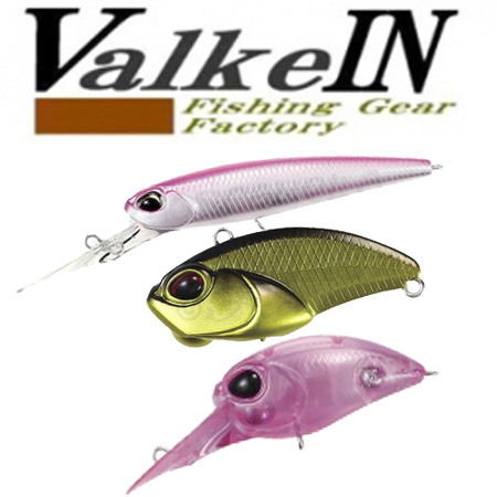 ValkeIN