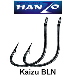 Hanzo Kaizu BLN