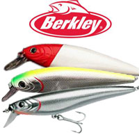 Berkley