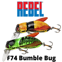 Rebel F74 Bumble Bug