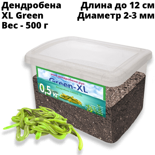Червь Дендробена XL Green 500 г