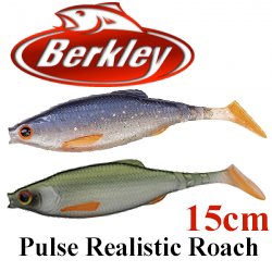 Berkley Pulse Realistic Roach 15cm