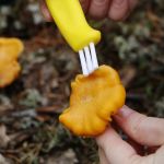 Нож Marttiini  Mushroom knive (709012)