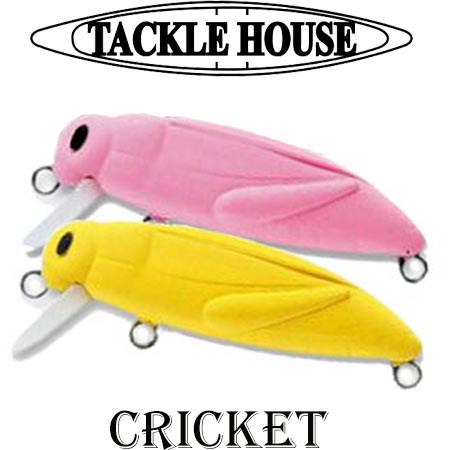Tackle House Elfin Cricket