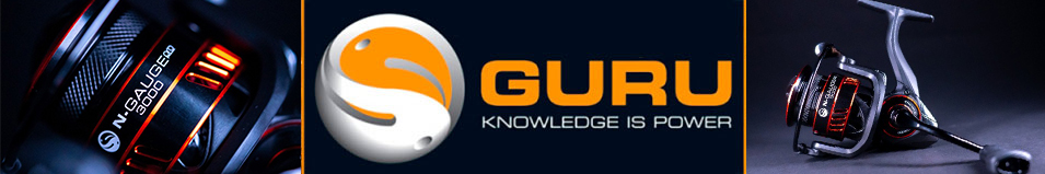 Guru N-Gauge Pro