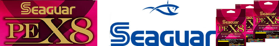 Seaguar PE X8 200m