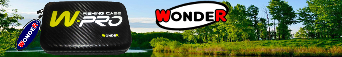 Wonder