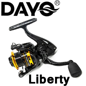Dayo Liberty
