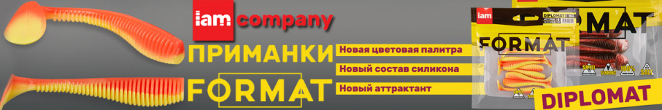 IAM Format Diplomat 100